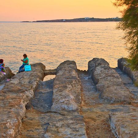 Apartments Tarsa Δρυός Εξωτερικό φωτογραφία