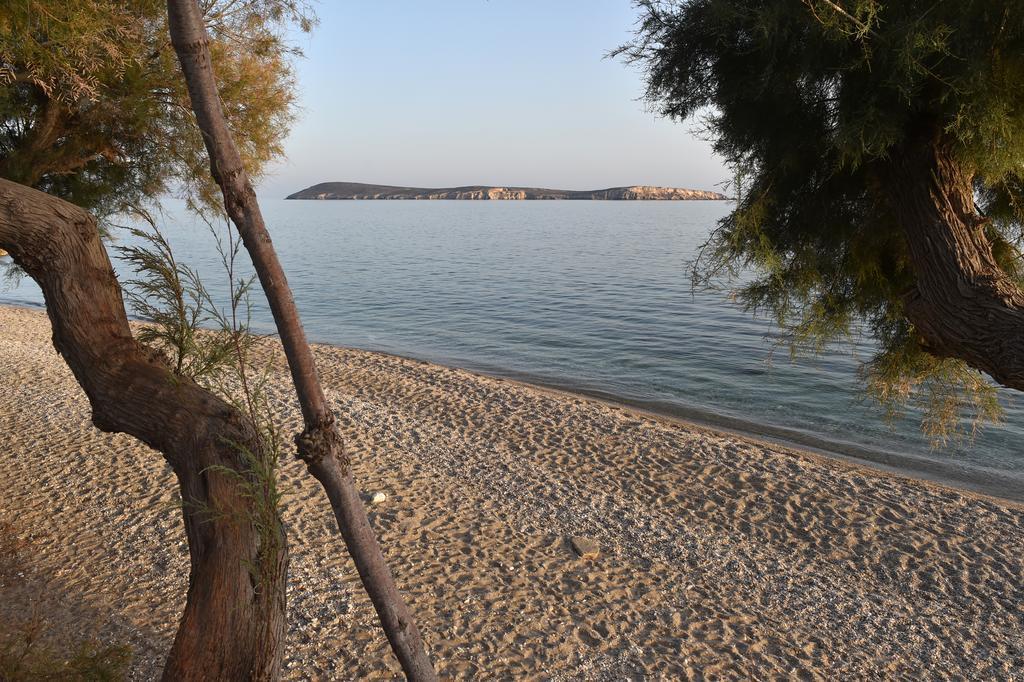 Apartments Tarsa Δρυός Εξωτερικό φωτογραφία