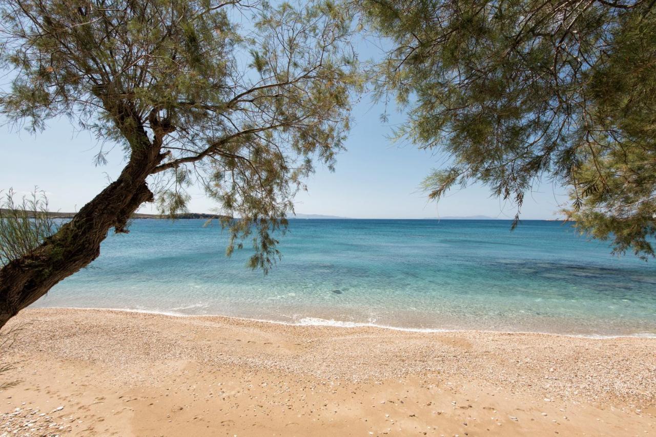 Apartments Tarsa Δρυός Εξωτερικό φωτογραφία