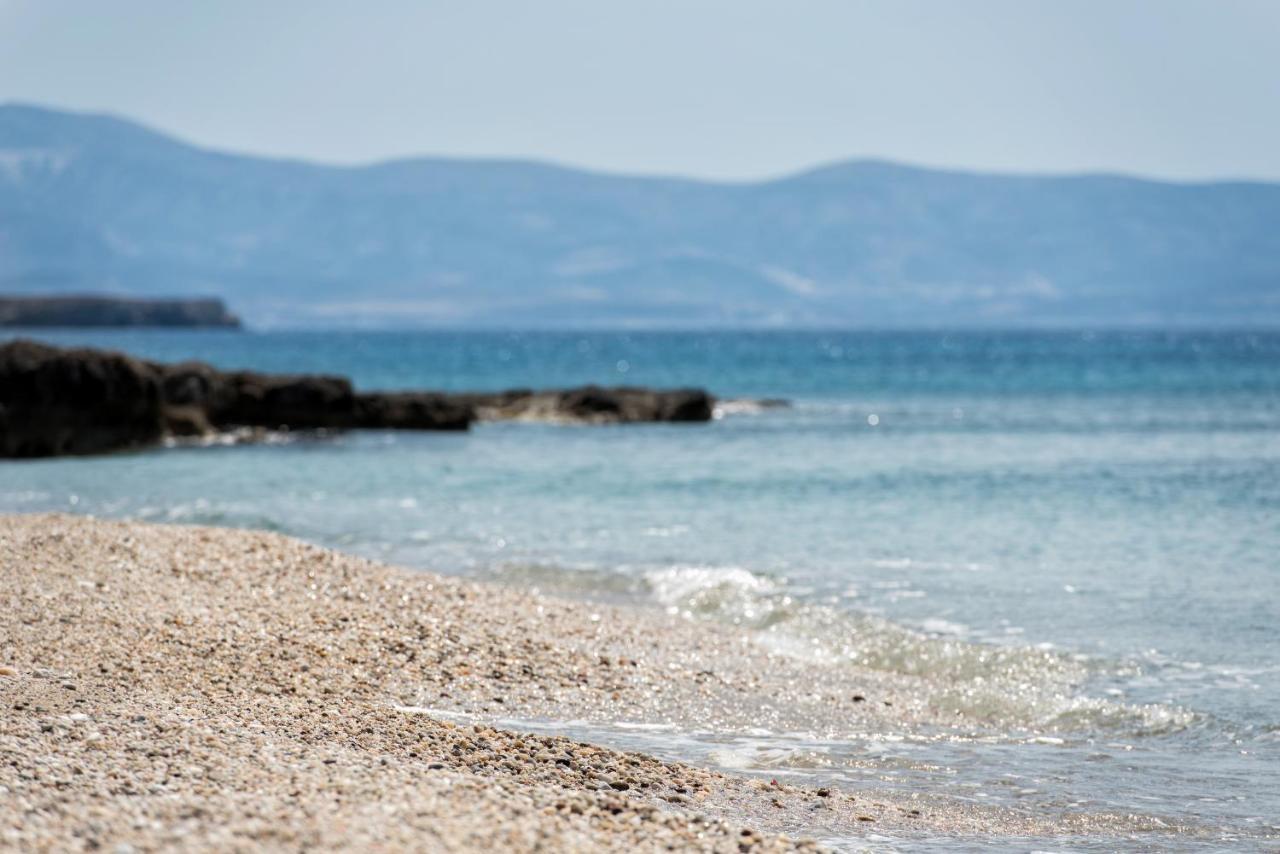 Apartments Tarsa Δρυός Εξωτερικό φωτογραφία