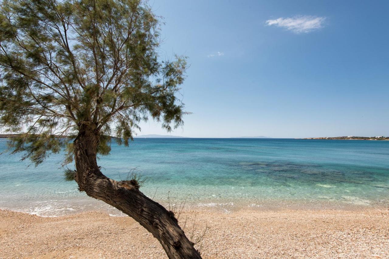 Apartments Tarsa Δρυός Εξωτερικό φωτογραφία